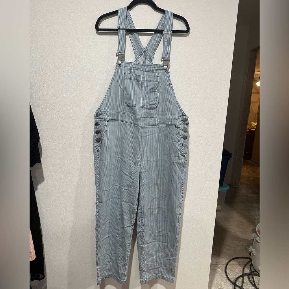 Lane Bryant Light Blue and White Stripe Denim Overalls